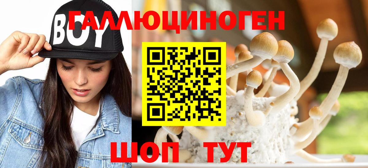 Галлюциногенные грибы мухоморы  Вход с VPN  Ефремов 